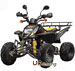 Quad Shineray 250 ccm homologiert 2-Sitz, schwarz