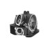 Zylinderkopf f�r Quad Bashan 300 ccm (BS300S-18)