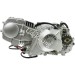 Motor PBR 125ccm mit elektrischen Anlasser (1P52FMI)