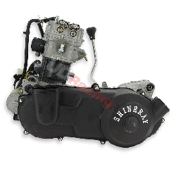 Motor fr Quad Shineray 250cc ST-9C 172MM, Ersatzteile Shineray 250 ST9C
