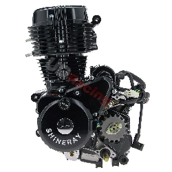 Motor fr Quad Shineray 250 ccm STXE 167FMM, Ersatzteile Shineray 250 STXE