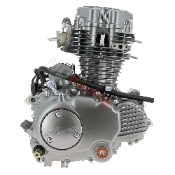 Motor CGP125 125ccm fr Skyteam ACE (ST156FMI), Teile Ace Skyteam