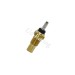 Ausl�sersonde f�r Quad Shineray 250 ccm STXE
