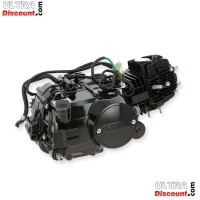 Motor 125ccm Euro3 fr Skyteam T-Rex (Schwarz) Bilder 1