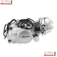 Motor 125ccm Euro5 fr Skyteam T-Rex Bilder 1