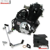 Motor 50ccm vertikal (139FMA-2) fr Skyteam ACE Bilder 1