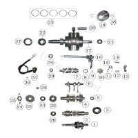 Simmerring fr Getriebe Quad Shineray 250STXE (14x22x5) Bilder 2