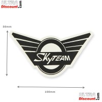 SkyTeam-Aufkleber fr Skymini (vorne) Bilder 1
