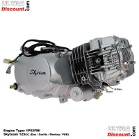 Motor PBR 125ccm mit elektrischen Anlasser Skyteam (6-6B) Bilder 1