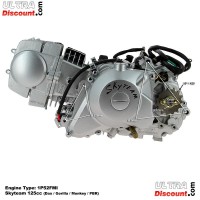 Motor PBR 125ccm mit elektrischen Anlasser Skyteam (6-6B) Bilder 2
