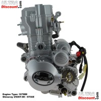 Kompletter Motor fr Quad Shineray 250 ccm Racing (167MM) Bilder 2