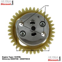 lpumpe fr Quad Shineray 200 ccm STIIE (163FML) Bilder 2