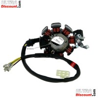 Lichtmaschine fr Shineray 250 ccm STXE Bilder 2