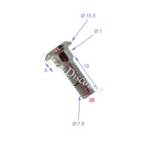 Befestigungsschraube Bremsscheibe Quad Shineray 250 ccm 28mm Bilder 1