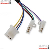 Elektrisches Gasgriff-Set Citycoco (Gold) type2 Bilder 1