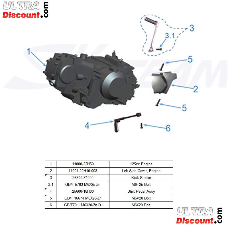 Motor 125ccm Euro3 fr Skyteam T-Rex Bilder 1