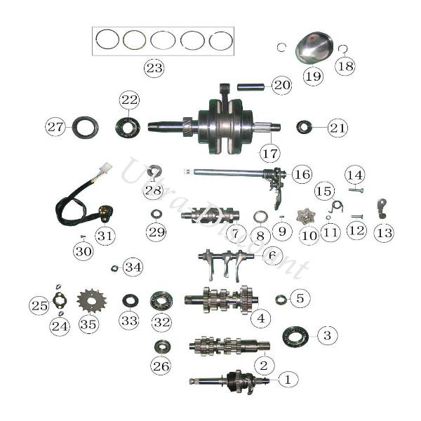 Simmerring fr Getriebe Quad Shineray 200 ccm (14x22x5) Bilder 2