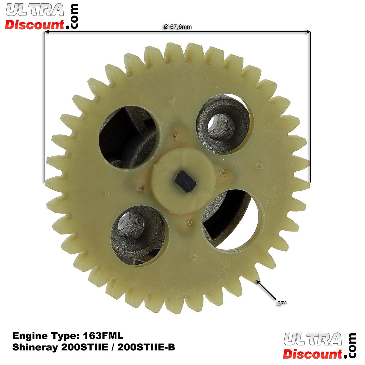 lpumpe fr Quad Shineray 200 ccm STIIE (163FML) Bilder 1