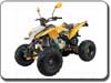 Quad Bashan 200, 250, 300 ccm