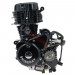 * Motor für Quad Shineray 250 ccm STXE 167FMM