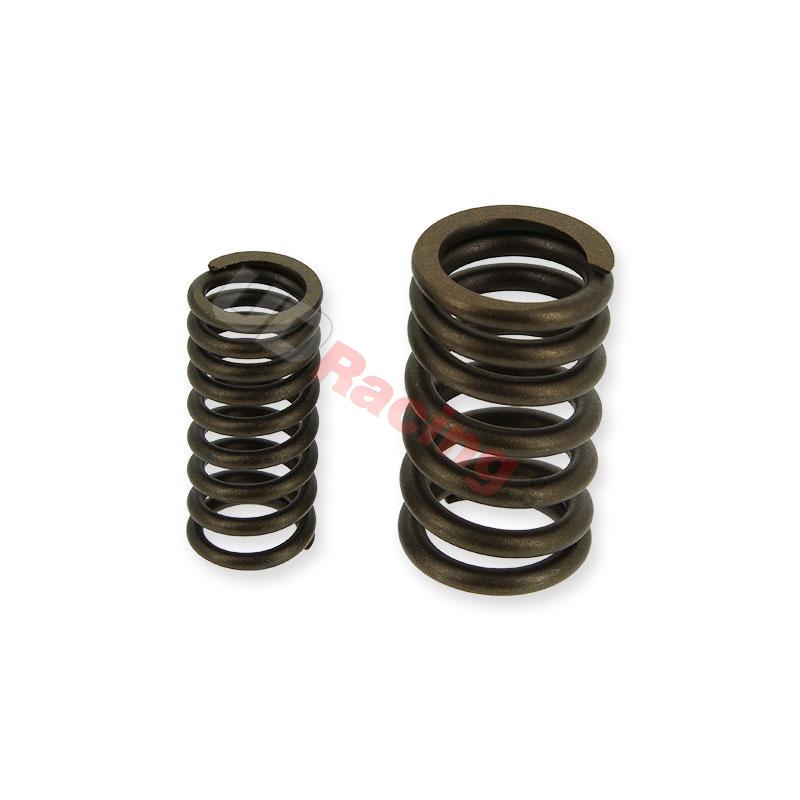 Ventilfedern fr Quads Spy Racing 250 F1, Teile ATV SPY250F1