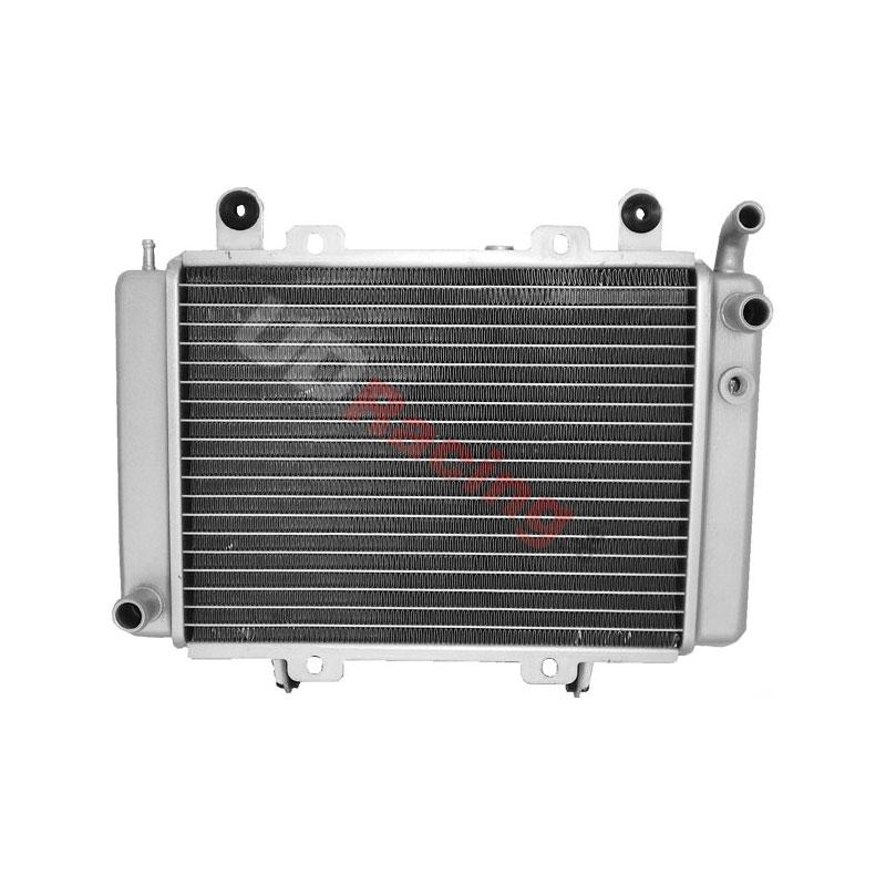 Khler fr Quad Shineray 300 ccm ST-5E, Ersatzteile Quad Shineray 300
