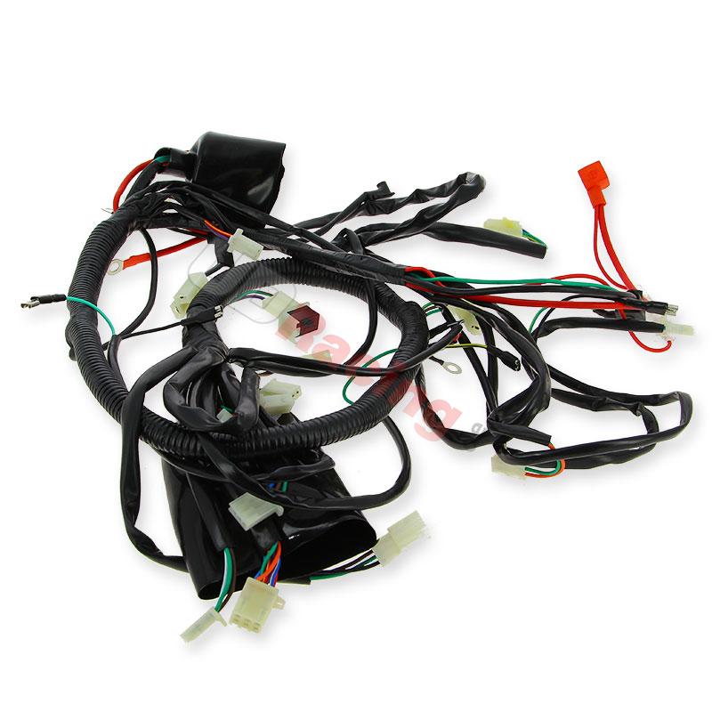 Kabelbaum fr Quad Spy Racing 250 F1, Teile ATV SPY250F1
