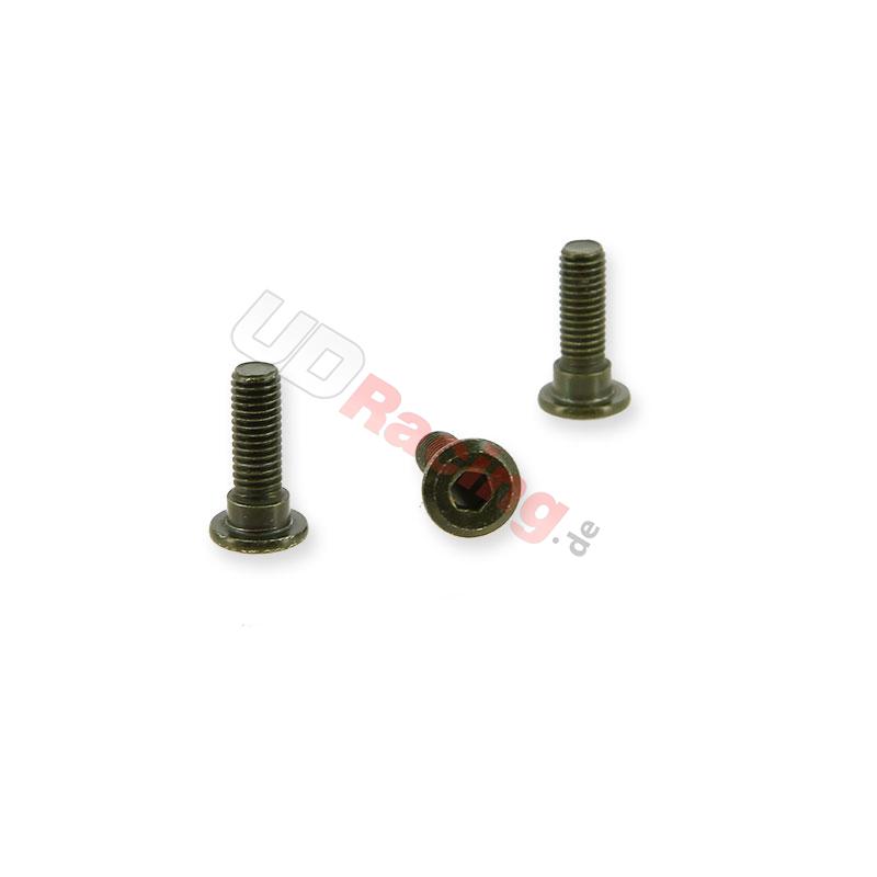 3 Befestigungsschrauben 25mm fr Bremsscheibe Citycoco (type2), Citycoco Ersatzteile