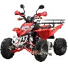 Quad Shineray 250 ccm homologiert 2-Sitz, rot, Quad 200, 250, 300 ccm