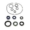 �ldichtungssatz f�r Skyteam 125ccm f�r Dax Skyteam EURO4, Teile Dax Skymax