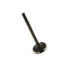 Auslassventil f�r SpyRacing 250 F3, Teile ATV SPY250F3