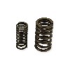 Ventilfedern f�r Quads Spy Racing 250 F1, Teile ATV SPY250F1
