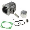 Motor original 49 ccm (Kolbenbolzen 12 mm), Teile Pocket Replik R1