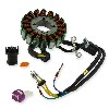 Z�ndstator f�r Shineray 250 ccm ST-9E (typ2), Ersatz Shineray 250 STIXE ST9E