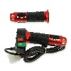 Elektrisches Gasgriff-Set Citycoco (Rot) typ2, Citycoco Ersatzteile