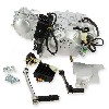 Motor EURO5 Skyteam Monkey Gorilla 50ccm, Teile Skymini Monkey Gorilla