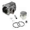 Kit Motor Umbau 47 auf 49 ccm (Achse 10 mm) f�r pocket bike, Pocket Cross Teile