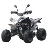 Quad Shineray 200 ccm, Quad 200, 250, 300 ccm