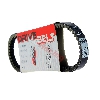 Riemen f�r Motorroller 50ccm (TNT Racing - Gates 20302), Chinesische Motorroller Teile