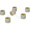 Variatorrollen (Satz 6 Stk) f�r Motorroller 250 ccm (23 g), Chinesische Motorroller Teile