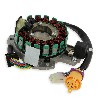 Z�ndstator komplett f�r Quad Bashan 300 ccm (BS300S-18), Ersatz Quad Bashan 300cc BS300S18