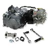 Motor Lifan 140 ccm Typ 1P55FMJ f�r dirt bike, Ersatzteile Dirt bike