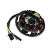 Lichtmaschine f�r Quads Shineray 200 ccm (XY200ST-6A), Ersatzteile Shineray 200 ST6A