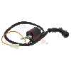 Z�ndspule f�r PW80, Ersatzteile YAMAHA PW80