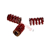 Kupplungsfedern (hart), rot, 3 Backen, Teile Pockets Polini 911 GP3