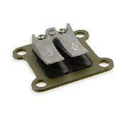 Klappe mit carbon lamellen fr pocket Dirt Nitro 