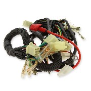 Kabelbaum f�r PBR 110ccm