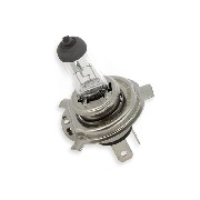 Scheinwerfer Birne f�r Skyteam Skymini Skybongo Euro4 Euro5