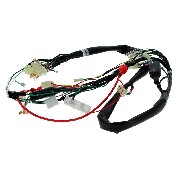 Kabelbaum 36610-17H01 fr Skymax 50 ccm 125 ccm (vor 10-2015)