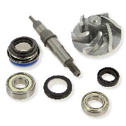 berholungskit Wasserpumpe fr Quads Bashan 250ccm (BS250S-11)